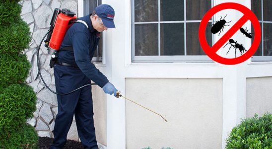 Yusufeli Fare İlaçlama böcek ilaçlama ve haşere kontrolü — ilaclama-tr.com